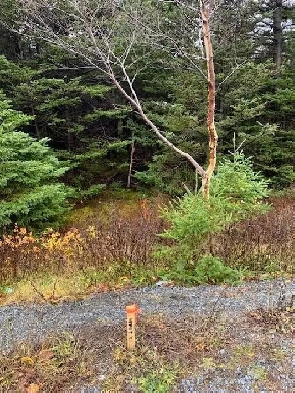 Build Your New Home on Land in Scenic Victoria! 2 Lots Available Image# 6