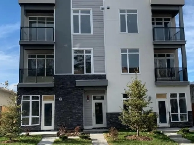 2 BR Apt $1795 Incld Utility Rapid Bus Serv Cl to Downtown & Sch Image# 1