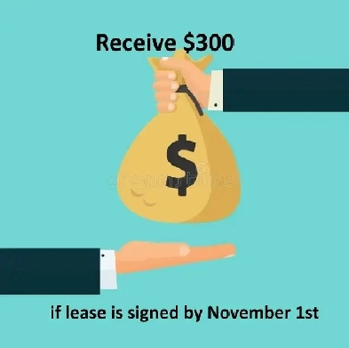 1Bedx1Bath Apartment $300 move-in incentive   FREE early move in Image# 1