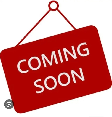 A bright and spacious basement apartment for rent. Image# 1