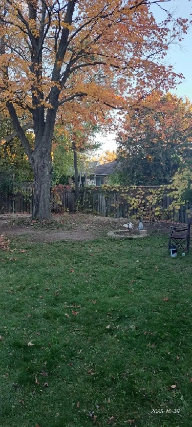 Basement for rent Image# 8