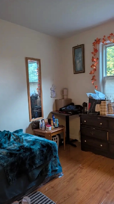 Temporary Accommodation available Image# 3