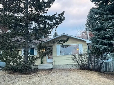 Room for Rent Image# 3