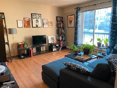 Lower mount royal 1 bedroom apart,balcony,parkg $1200/m   elect Image# 3