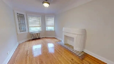 Studio apartment for rent, Sandy Hill, Dec 1 - ID 4201 Image# 3