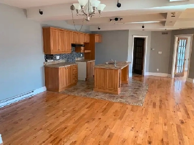 Grand Loft 3 1/2 centre ville Salaberry-de-Valleyfield Image# 1