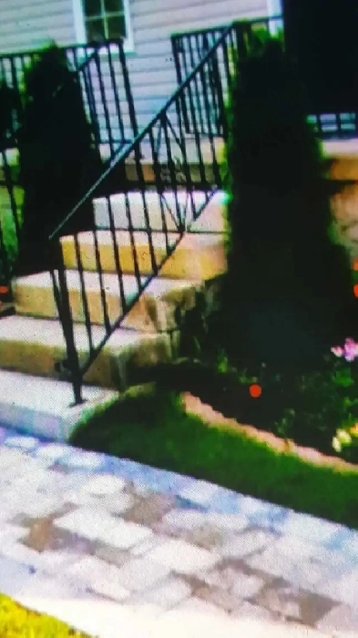 West Hamilton Room for Rent Image# 6