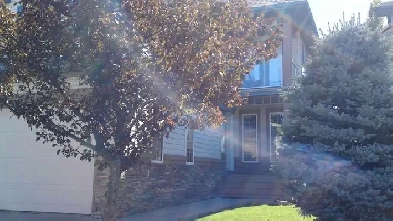 Furnished Room in Tuscany – Ideal for Student or Employed .. Image# 6