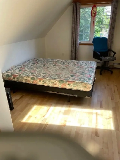 House rooms for rent Image# 2