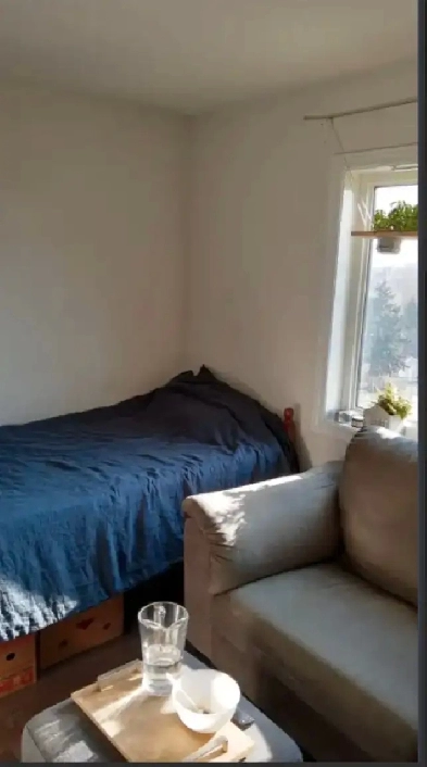 Immediately, Eglinton/Keele, Parking, Warm, Luxury,special price Image# 5