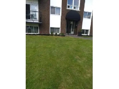 Superbe 4 ½ à louer- Sorel-Tracy Image# 3