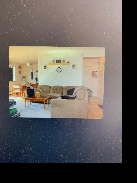 Rent newly nenovated near lakeshore Image# 1