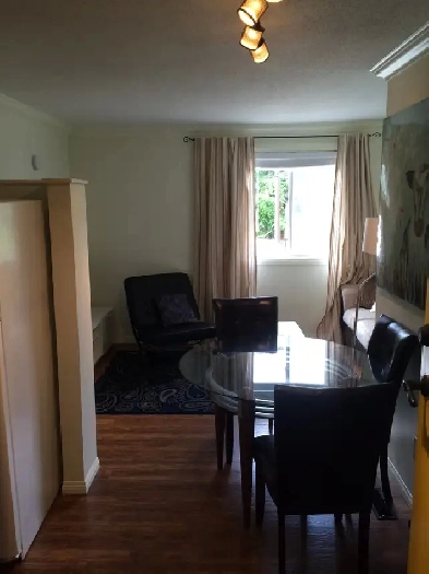 CHIC, CLASSY, FULLY-FURNISHED, ONE-BEDROOM FLAT IN CENTRAL YEG Image# 9