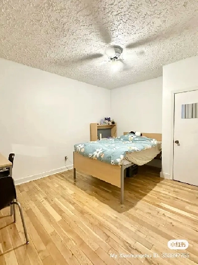 Queen's Kingston Sublet Rental Image# 6