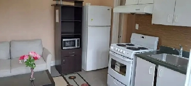 Walkout basement for rent - utilities,internet,parking included Image# 7