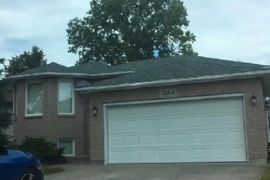 1 Bedroom Basement Apartment (South Windsor) Image# 4