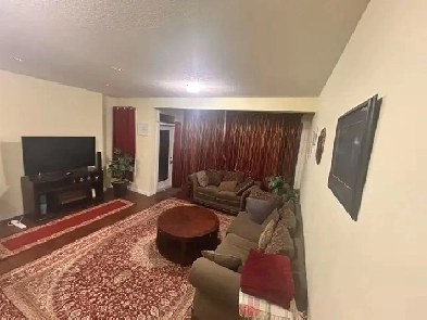 Rent Basement Image# 6