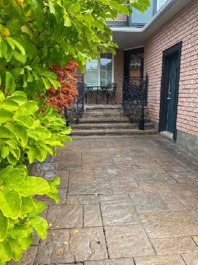 BASEMENT FOR RENT (3 BEDROOM NEWLY RENOVATED) Image# 7