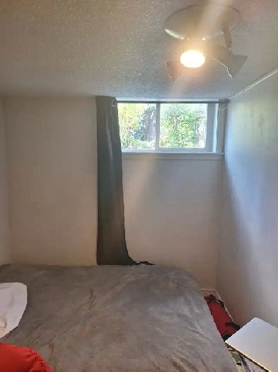 Bright & Cozy Room For Rent In Basement Apartment Image# 2
