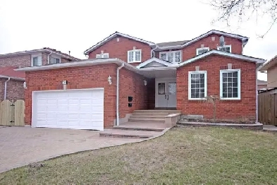 Bright & Spacious Furnished Basement Bedroom – Utilities Include Image# 4