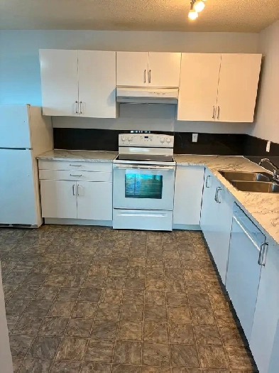 3 bed, 1 bath - Available Immediately! Image# 1