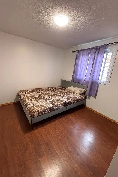 private room for rent Image# 2