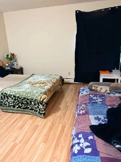 Room for Rent – Private Room in Apartment- Century Park Image# 6