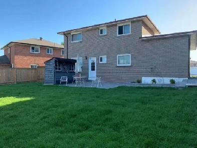 Room Rent, Centennial College, UTSC, STC, Markham Ellesmere Rd Image# 6