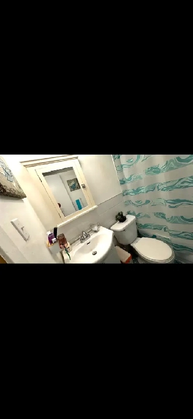 3 1/2  3 edemi Image# 6