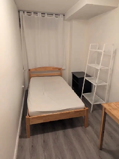 New Basement Room with Window Parking @York University Village Image# 3