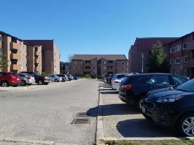 $1950 - 2 Bed/1 Bath Apartment for Lease - Dundas St Image# 2