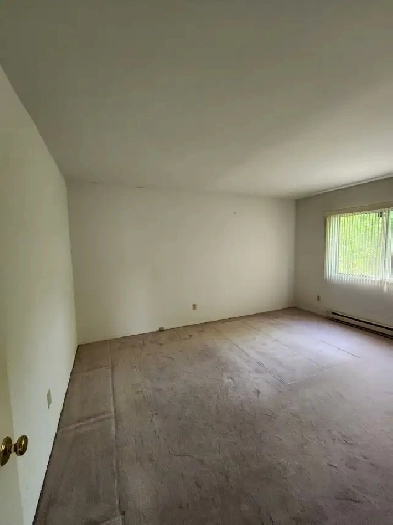 Un très grand 4 1/2 disponible immédiatement Image# 3