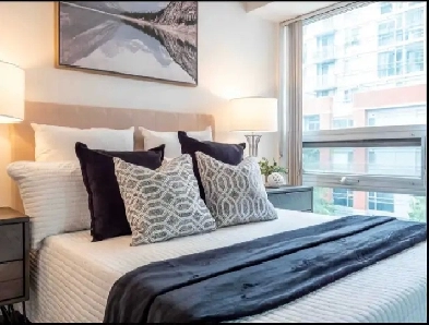 Toronto Queen West Fantastic 1 1 Bed Condo For Rent Image# 1