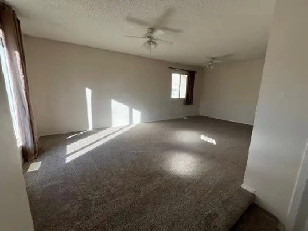 3 Bedroom/2 Full Bath Main Floor in Central McKernan Image# 5