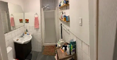 Lumineux 4 1/2 à Ville-Emard 1350$ (1 Décembre) Image# 1