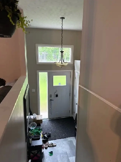 Room for Rent Image# 1