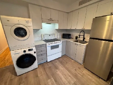 3min à pied métro Joliette superbe 3 1/2 Image# 1