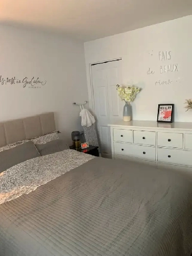 LOGEMENT AIRE OUVERTE / OPEN CONCEPT APARTMENT Image# 1