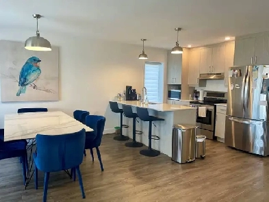 4 1/2 à louer - Waterloo - 1300$ Image# 1