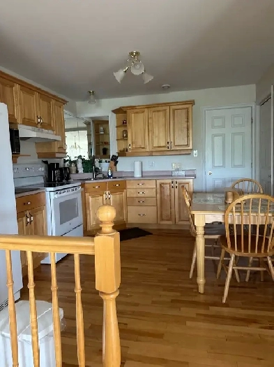 1 Bedroom Apartment for rent Image# 1