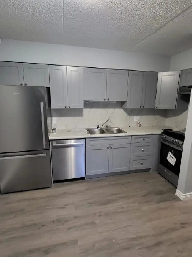 2 BEDROOM  UNIT IN APARTMENT  BUILDING LOCATED IN BLENHEIM ONT. Image# 5