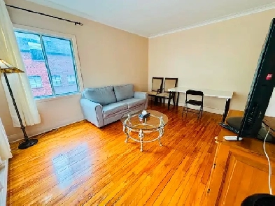 Fully Furnished Very Spacious Apartment 3 1/2 Front River View Image# 10