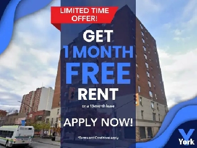 Spacious One Bedroom - Downtown on Ouellette Image# 1