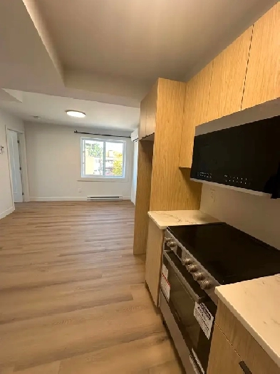 MODERN 3 1/2 - ANJOU Image# 3