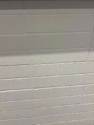 2 bedroom Basement or Private room available for rent Image# 1