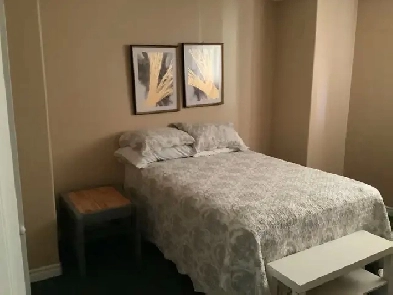 Available now one furnished one bedroom Image# 1