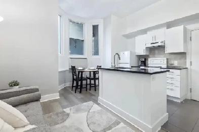 Fully furnished 1bed apartment in Downtown Ottawa available NOW! Image# 5