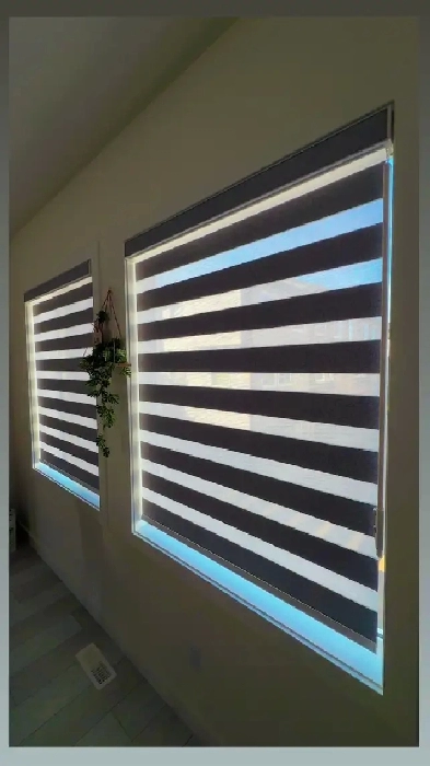 2 bedrooms Basement for rent - Saddletown NE Image# 1