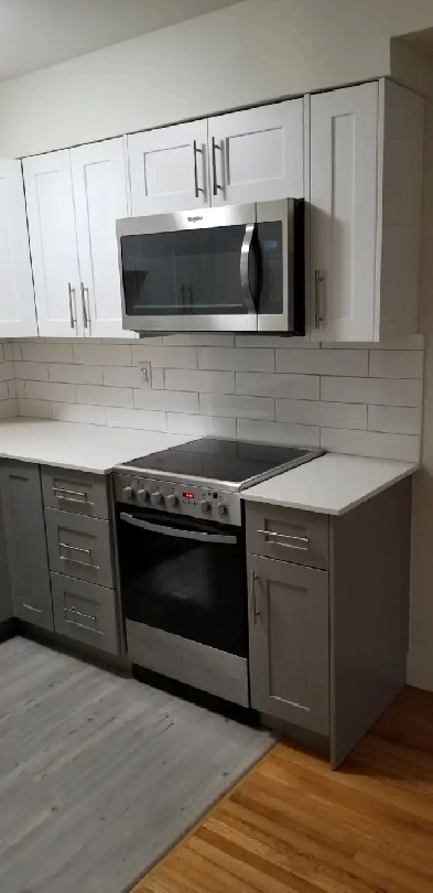 Pet Friendly One Bedroom - Dec 1 Image# 1