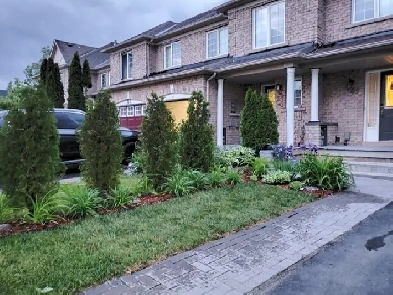 WHITBY - 3 Bedroom Townhouse: Entire house including basement Image# 1